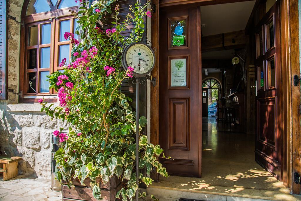 Hotel Carrubba Donja Lastva